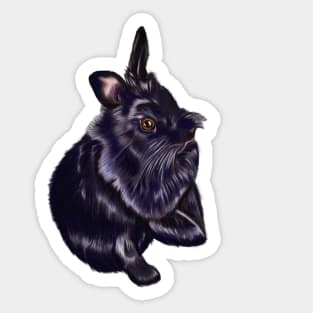 bunny rabbit cute  furry ebony colored coloured lionhead bunny rabbit Sticker